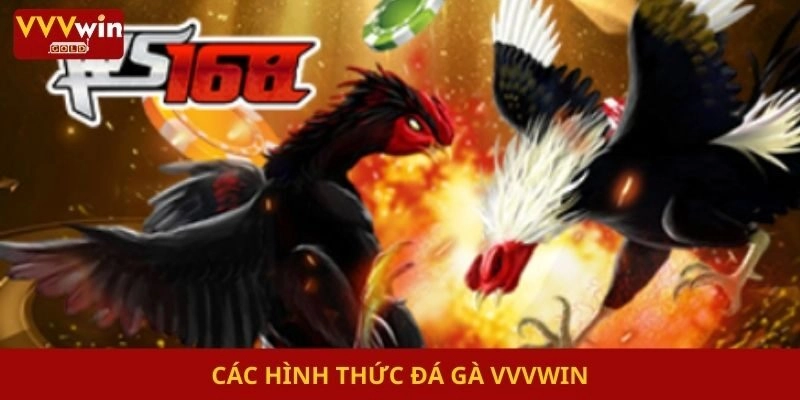 Các hình thức đá gà Vvvwin