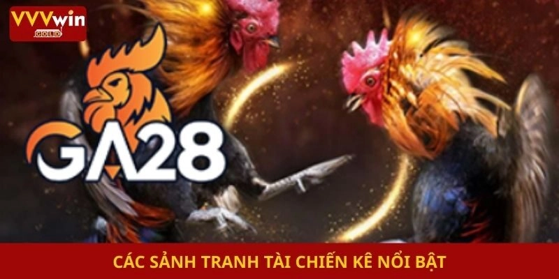 Các sảnh tranh tài chiến kê nổi bật