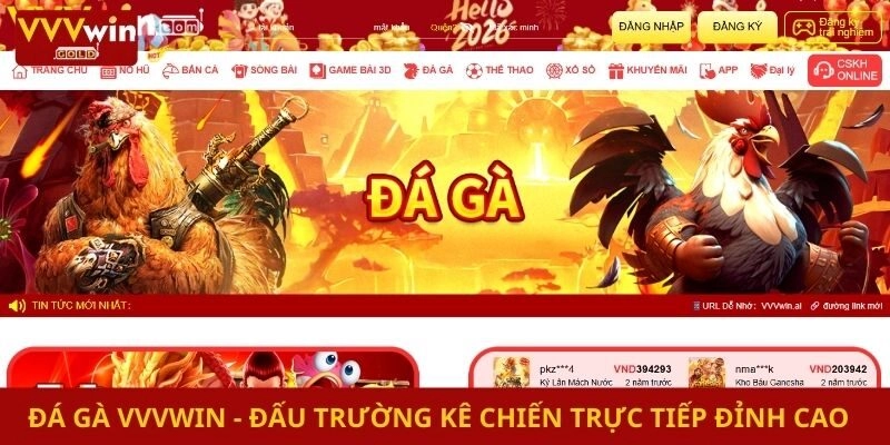 Đá Gà Vvvwin - Đấu Trường Kê Chiến Trực Tiếp Đỉnh Cao