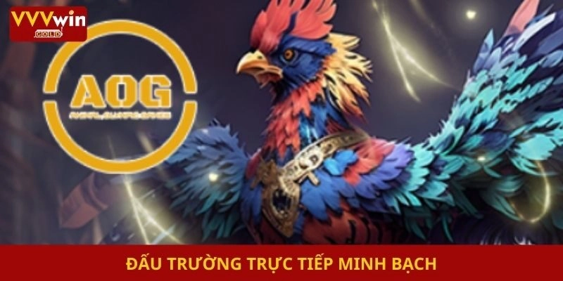 Đấu trường trực tiếp minh bạch