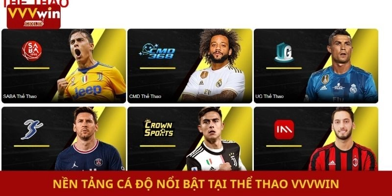 Nền tảng cá độ nổi bật tại thể thao Vvvwin
